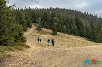 Najpiękniejsze szlaki Beskidu Żywieckiego: pętla halami: Boracza,  Cukiernica, Redykalna, Bacmańska, Lipowska, Rysianka oraz Pawlusia.