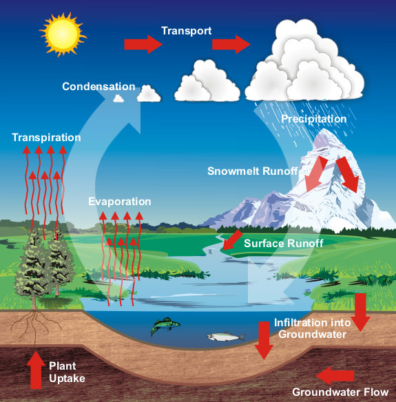 Air, Sumber Kehidupan: Siklus Hidrologi
