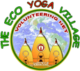 Our Organization