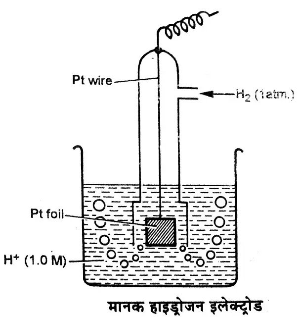इलेक्ट्रोड तथा इलेक्ट्रोड विभव (Electrode Potential) क्या है?: परिभाषा|hindi