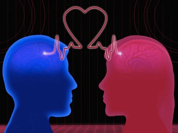 كيف يكون الدماغ في حالة الحب