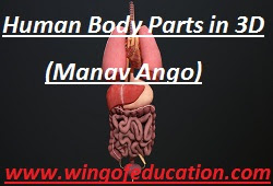 Human Body Parts (Manav Ango) In 3D Cube