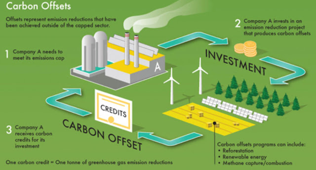 Carbon Offset Market