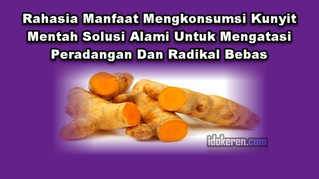 Rahasia Manfaat Mengkonsumsi Kunyit Mentah Solusi Alami Untuk Mengatasi Peradangan Dan Radikal Bebas