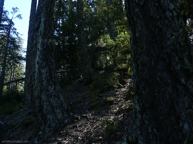 game trail on the ridge line