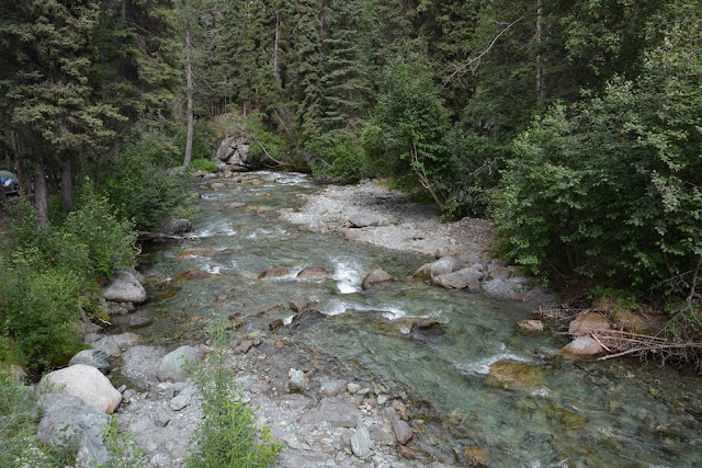 Liberty Falls Chitina