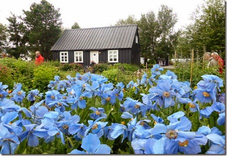 P1040069
