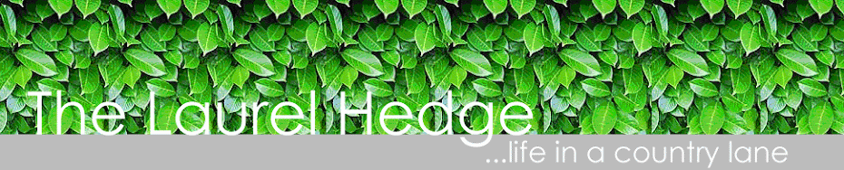 The Laurel Hedge