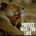 Protect What You Love