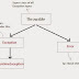 Exception Handling & Mechanism In Java