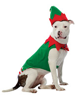 Dog Elf Costume3