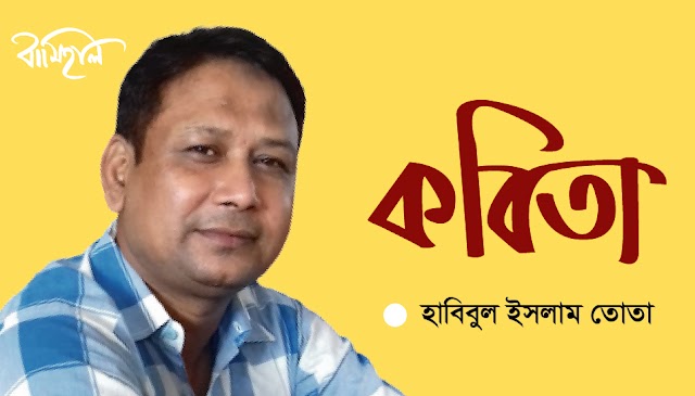  হাবিবুল ইসলাম তোতা’র কবিতা