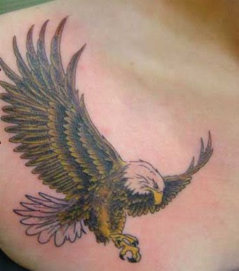 eagle tattoos. You want to make a tribal bird tattoos but you may be unsure