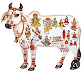 Nandini cow