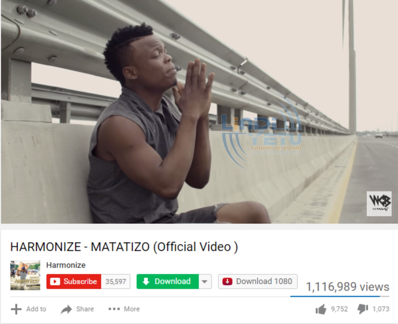 Harmonize - Matatizo