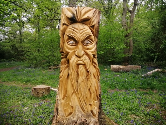 Yorks_Wood_Tree_Face_Carving