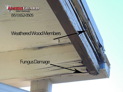 Water damage leads to weather wood and dry rot