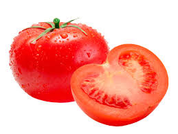 TOMATO