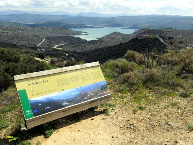 Circular a la Garganta de La Hoz desde Rute