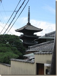 IMG_2003