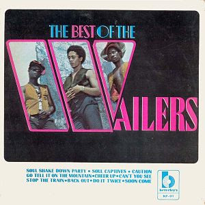 Bob Marley The Best Of The Wailers descarga download completa complete discografia mega 1 link