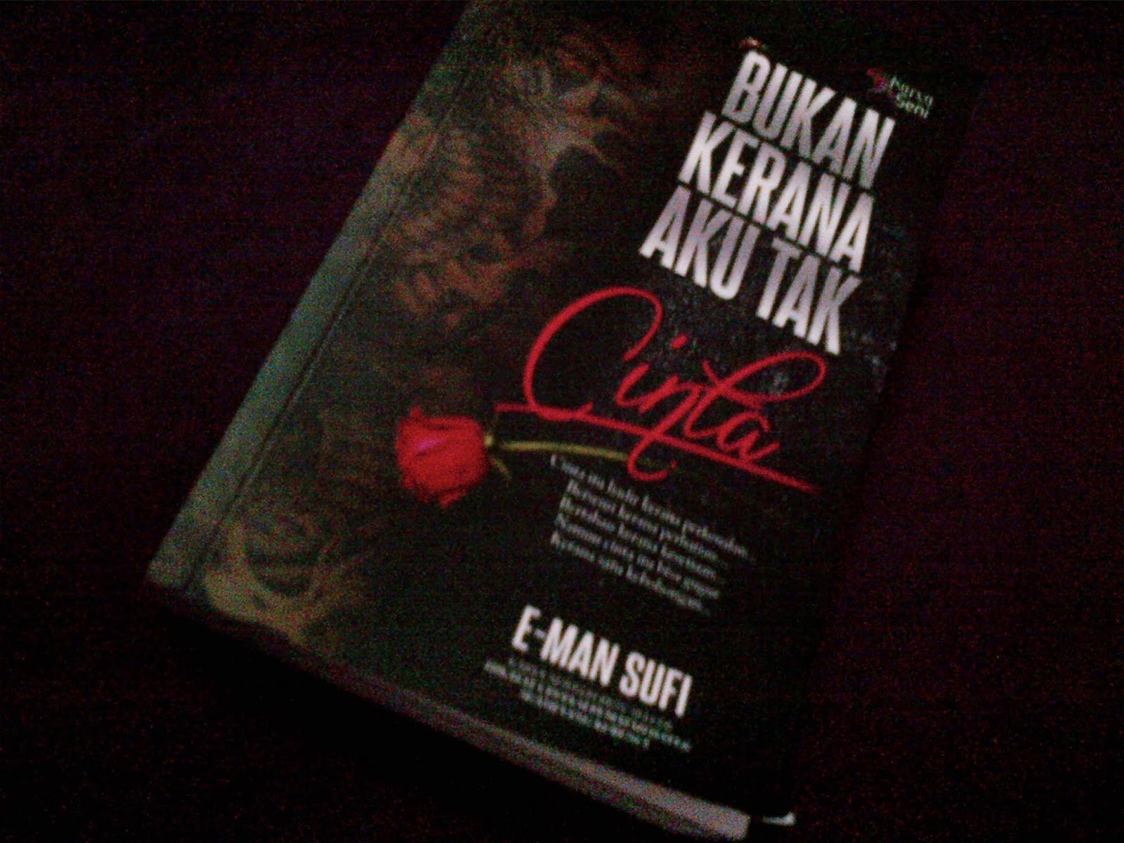 Bukan Kerana Aku Tak Cinta - E-man Sufi | Just Me