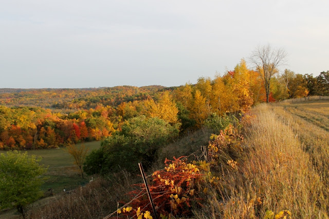 Field road along the ridge