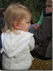 donnell farm 17 mo 065 - Copy