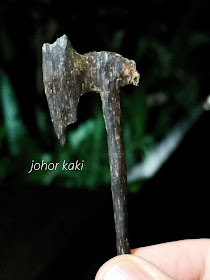 Wild Agarwood in Bangka Indonesia. King of Incense, Scent from Heaven