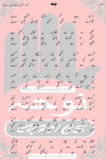Mar Gaya Baap Magar Manti Nahi Zainab | Syed Raza Abbas Zaidi