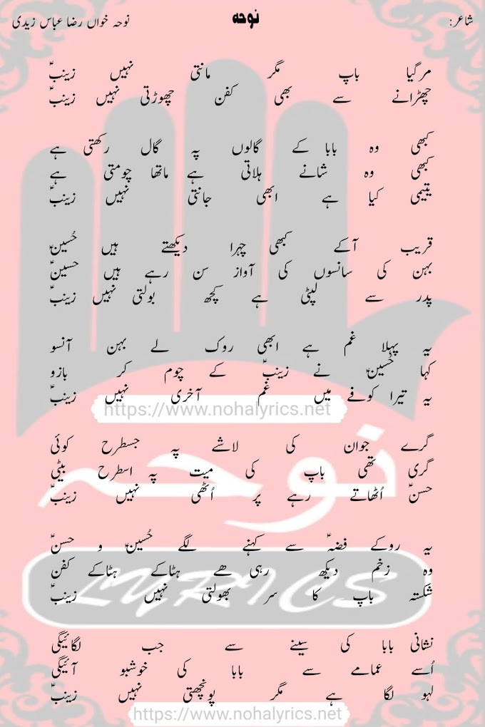 Mar Gaya Baap Magar Manti Nahi Zainab | Syed Raza Abbas Zaidi | 21 Ramzan Noha Lyrics 2024