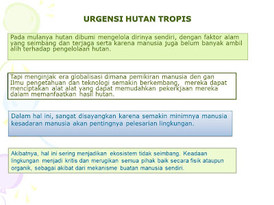 ria alkimiya: urgensi hutan tropis
