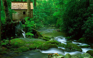 Forest Watermill HD Wallpaper