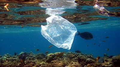 Porta la Tua Borsa di Stoffa   al Supermercato ed il Pianeta   ti Ringrazierà!  Non Devi Usare i Sacchetti   di Plastica per la Spesa