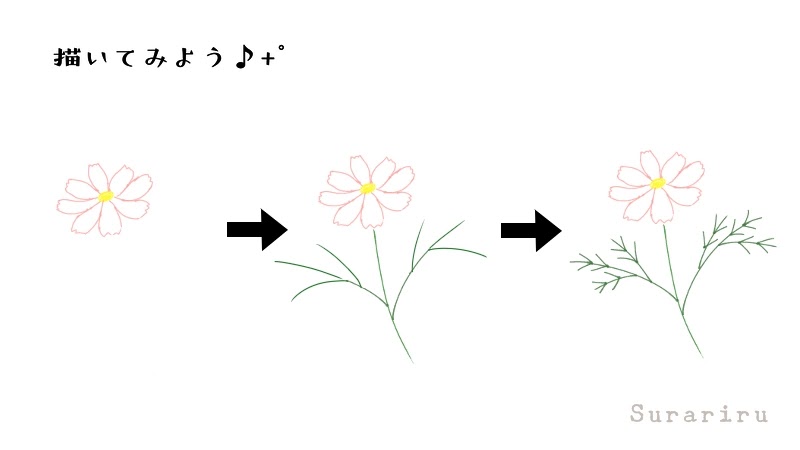 簡単なコスモスの花のイラストの描き方 遠北ほのかのイラストサイト 簡単なコスモスの花のイラストの描き方 遠北ほのかのイラストサイト
