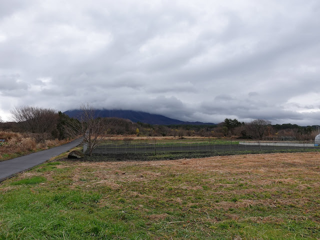 アイノピア入り口バス亭から大山の眺望