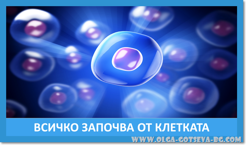 ПентоКан / PentoKan
