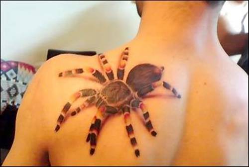 Aribal and Spider Tattoo on Chest and Arm Tattoo · Tribal Spider Tattoo Aribal and Spider Tattoo on Chest and Arm Tattoo · Tribal Spider Tattoo