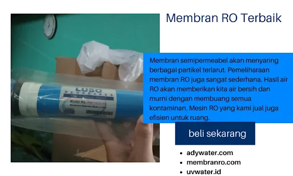 membran RO, membran RO 2000 gpd, harga membran RO, harga membran RO 2000 gpd, housing membran RO, membran RO 500 gpd, membran air RO, membran RO 100 gpd, harga membran RO 4040, cara mencuci membran RO, harga membran RO 400 gpd, jenis membran RO, membran reverse osmosis pdf, cara mengatasi membran RO mampet, cuci membran RO, harga membran 500 gpd, penyebab membran RO cepat buntu, cara membersihkan membran RO 2000 gpd, harga membran air RO, housing membran RO 500 gpd, prinsip kerja membran reverse osmosis, cara ganti membran RO,