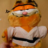 Karate Garfield