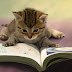 Lendo