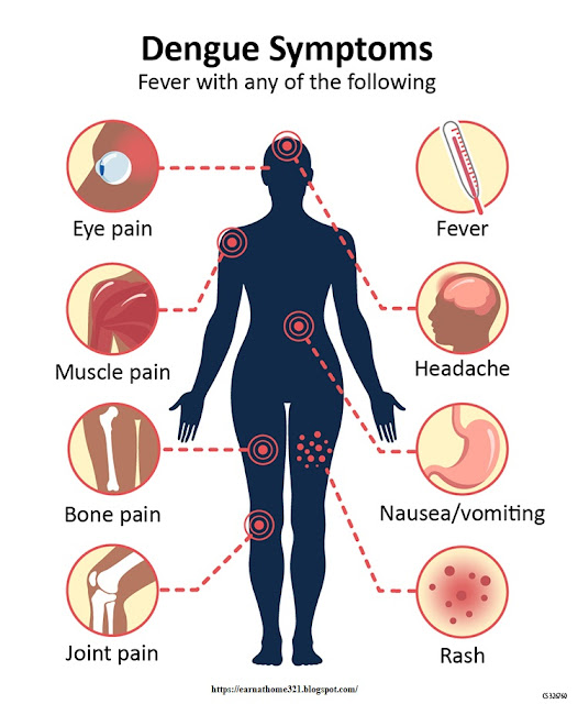 Symptoms of Dengue Fever | What are the warning signs of Dengue |