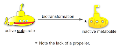 Biotransformation mnemonic by Jason Cafer MD