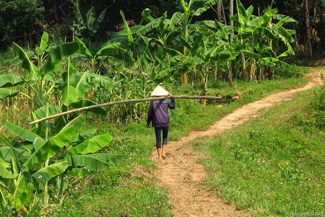 Hike From Ban Hieu village to Kho Muong in Pu Luong Nature Reserve