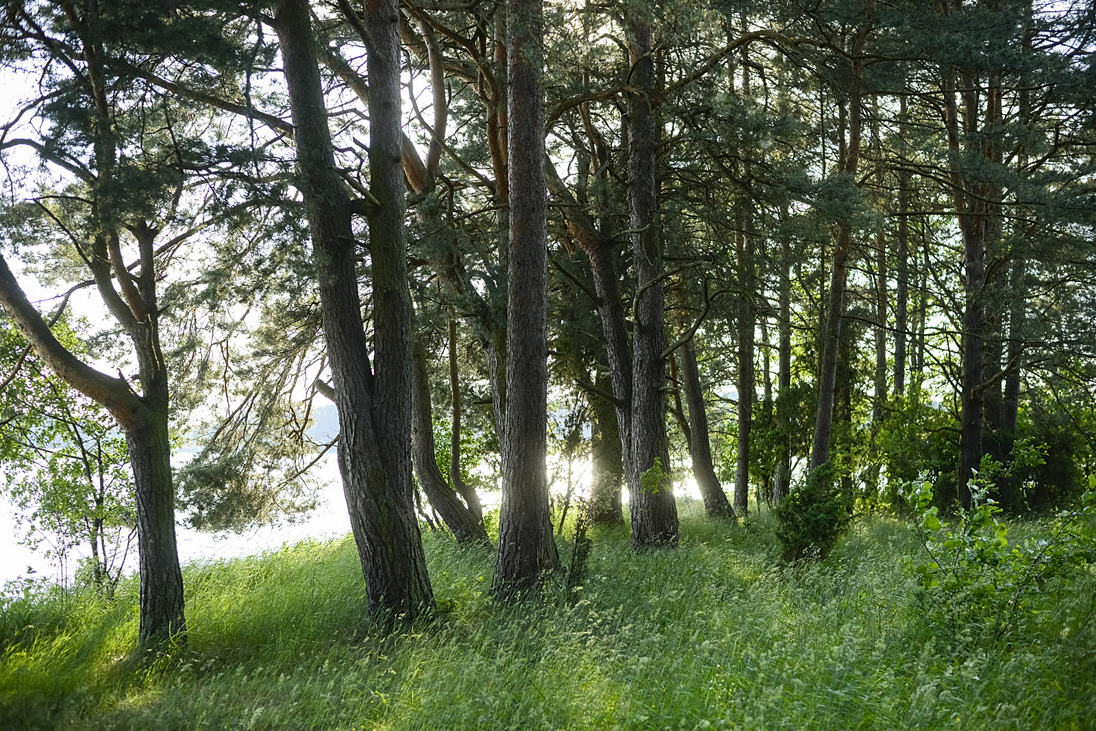 Wdzydze, jachty i jezioro 14.06.2013