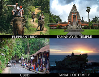 We convey arranged overnice combination of elephant ride action as well as sightseeing tour BaliTourismMap: ELEPHANT RIDE COMBINATION TOUR