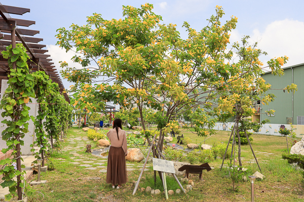 彰化秀水馬興藥草植物園區旋轉木馬好可愛，順遊馬興陳宅益源古厝