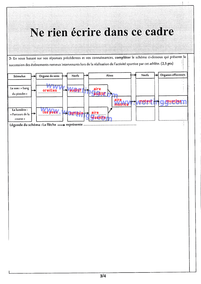 examen régional svt 3ac avec correction