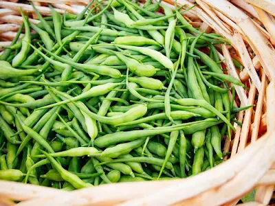 मूली  की फली,  मूली की सेंगरी- Radish Pods