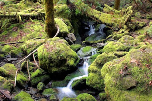 Cita con la naturaleza. (23 fotografías de paisajes)